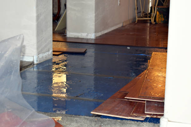 Professional Emergency Water Damage Restoration technician working in Springville, NY